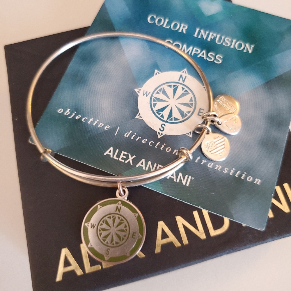 Alex And Ani Color Infusion Compass Bracelet